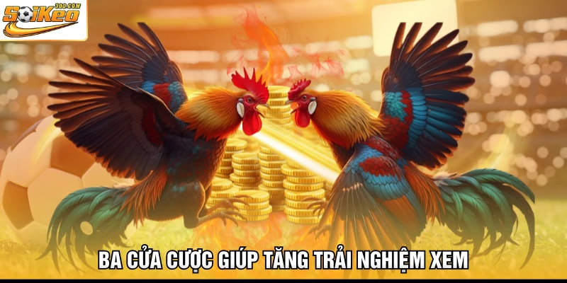 Ba cửa cược giúp tăng trải nghiệm xem