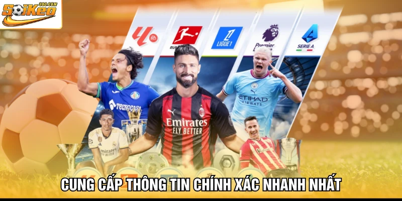 Cung cấp thông tin chính xác nhanh nhất