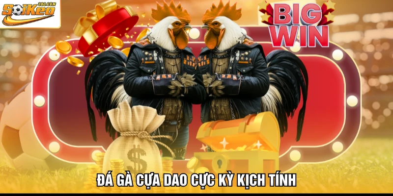 Đá gà cựa dao cực kỳ kịch tính