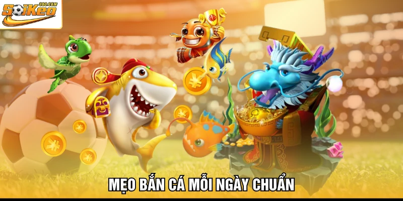 Mẹo bắn cá mỗi ngày chuẩn