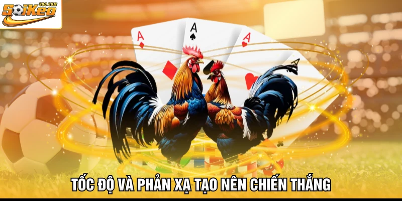 Tốc độ và phản xạ tạo nên chiến thắng